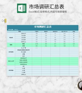 简约蓝色市场调研汇总表Excel模板