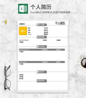 简约应聘求职个人简历Excel模板