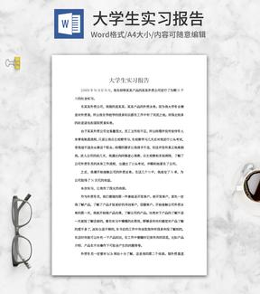 大学生外贸销售实习报告word模板