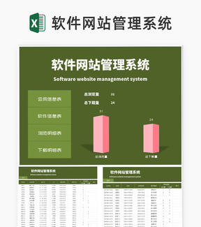 商务风软件网站信息管理系统excel模板