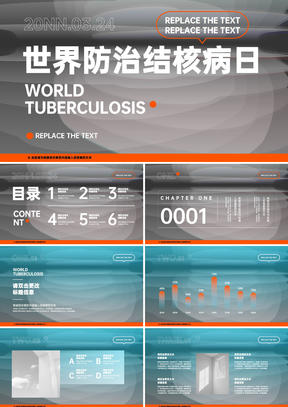 灰色简约大气风世界防治结核病日ppt模版