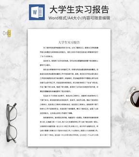 大学生会计事务所实习报告word模板