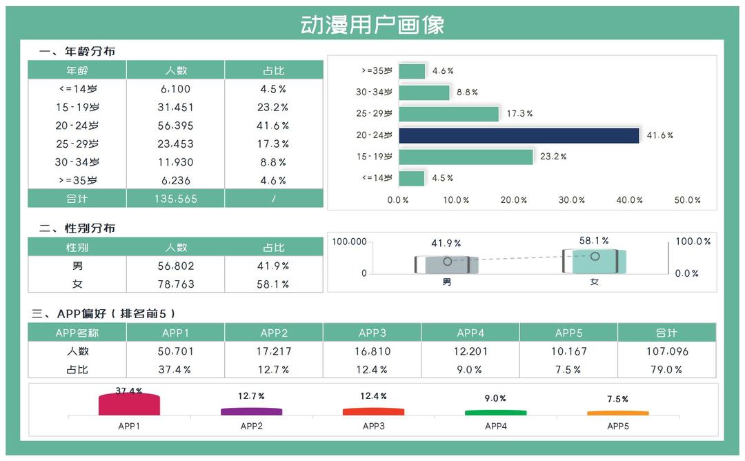 绿色APP动漫用户画像汇总分析Excel模板