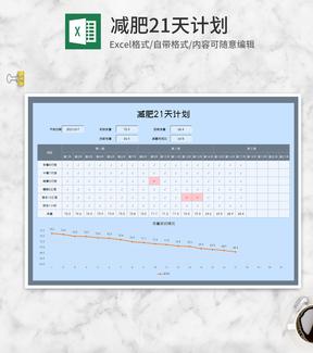 减肥项目21天打卡计划Excel模板