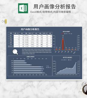 简约深色用户画像分析报表Excel模板