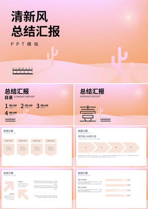 粉色简约风总结汇报PPT模板