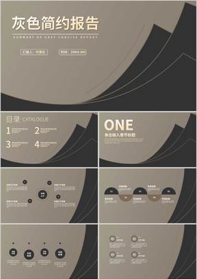 棕色简约风总结报告PPT模板