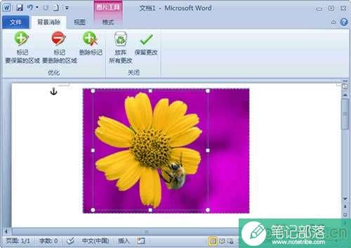 word2010怎么去除图片背景