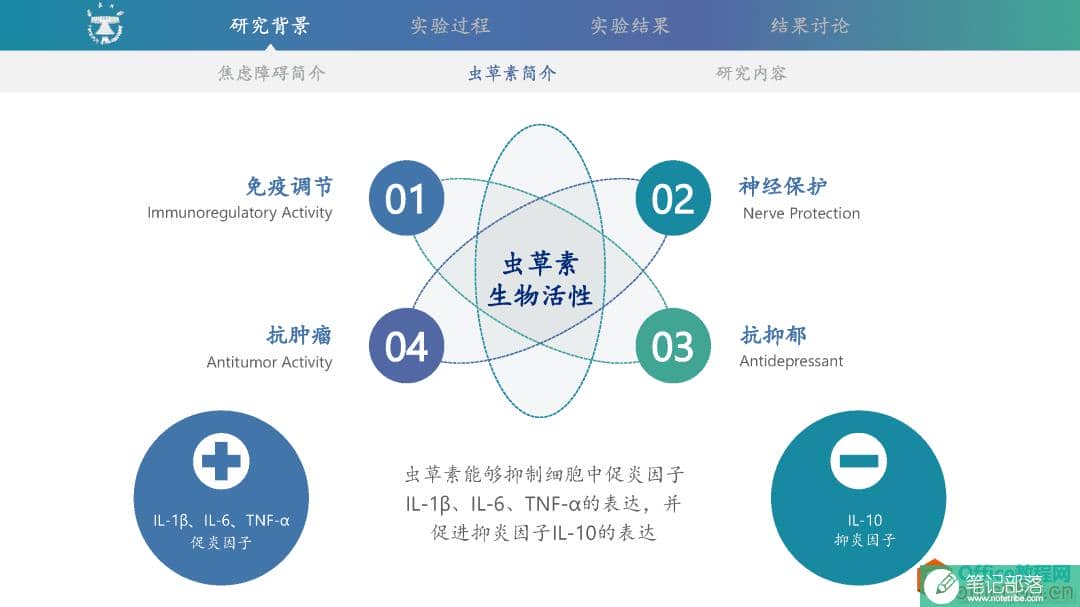 ppt导航栏怎么设置?ppt导航栏制作教程