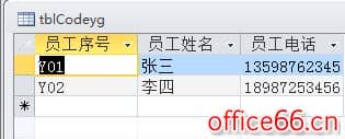 Access教程下载：Access2016数据库快速开发教程5