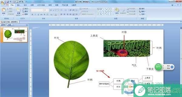 PPT如何制作结构图?