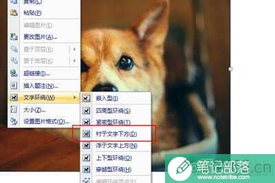Word九宫格图片怎么做