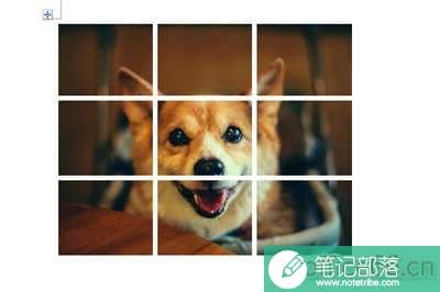 Word九宫格图片怎么做