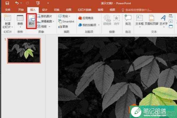 ppt如何去除图片背景