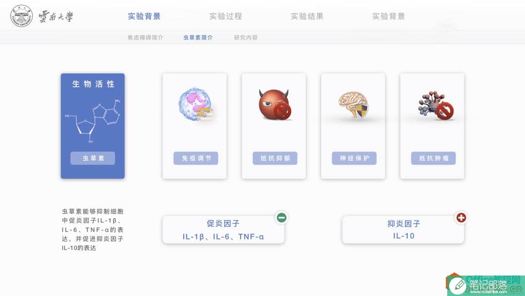 ppt导航栏怎么设置?ppt导航栏制作教程
