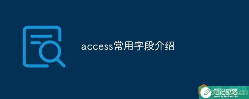 access常用字段介绍