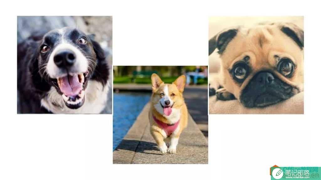 想做出PPT中的图片墙吗？不用怕，我给你准备了8种方法