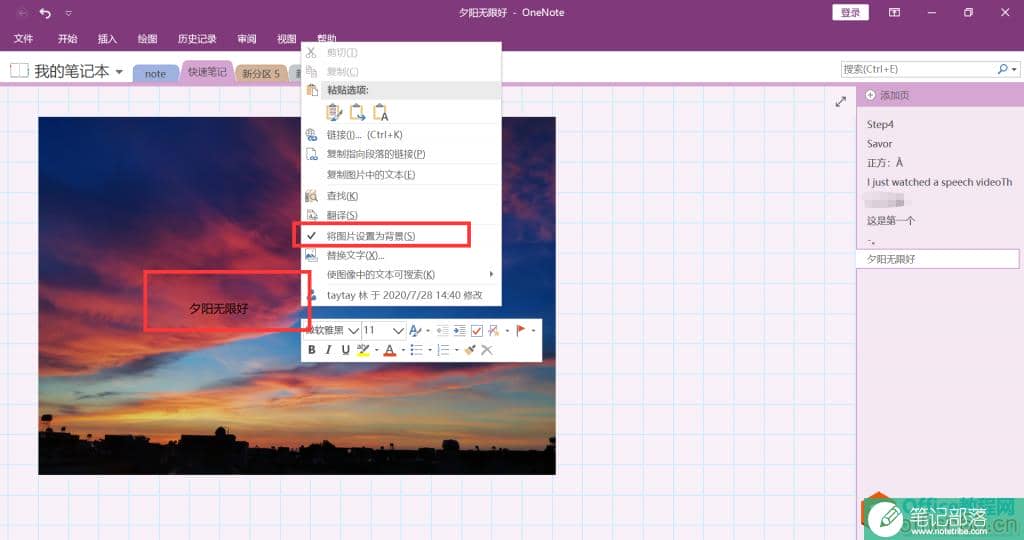 OneNote