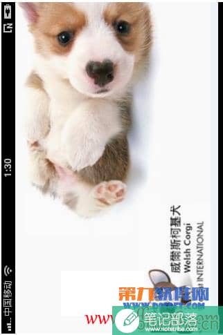 Iphone版OneNote介绍