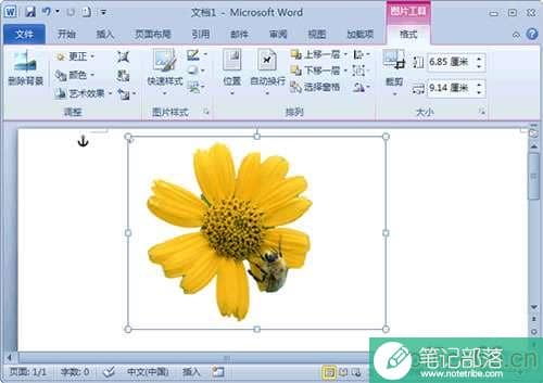 word2010怎么去除图片背景
