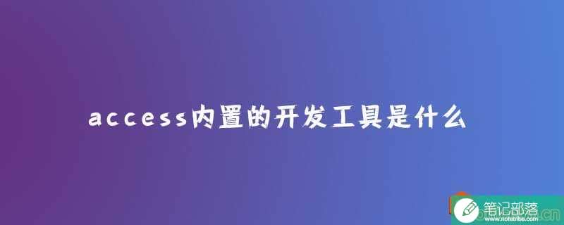 access内置的开发工具是什么？