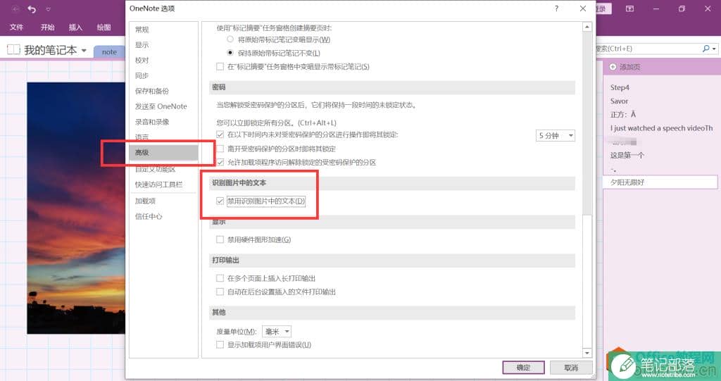 OneNote