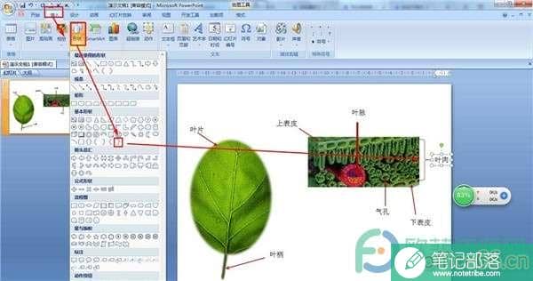 PPT如何制作结构图?