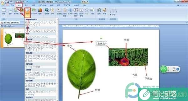 PPT如何制作结构图?