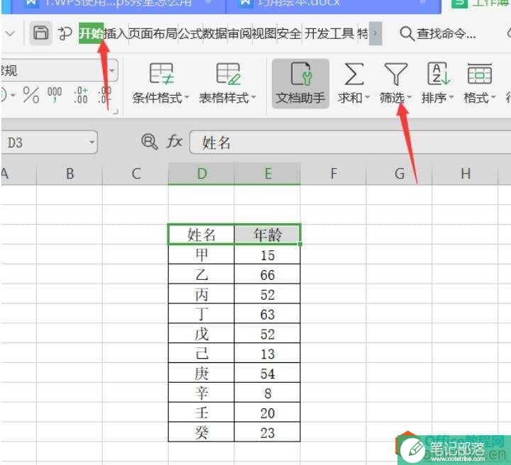 WPS 中如何使用筛选器进行筛选分类