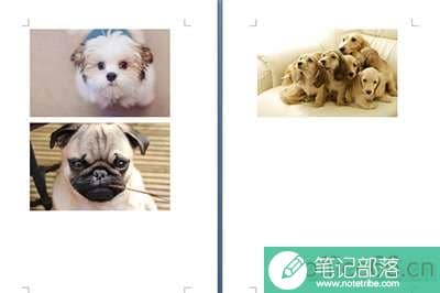 Word图片怎么批量导出