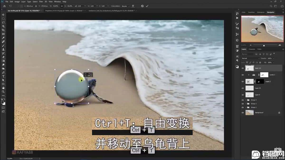 Photoshop合成海边海龟和被掀起的海浪场景