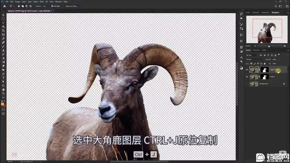 Photoshop合成魔幻主题的发光山羊