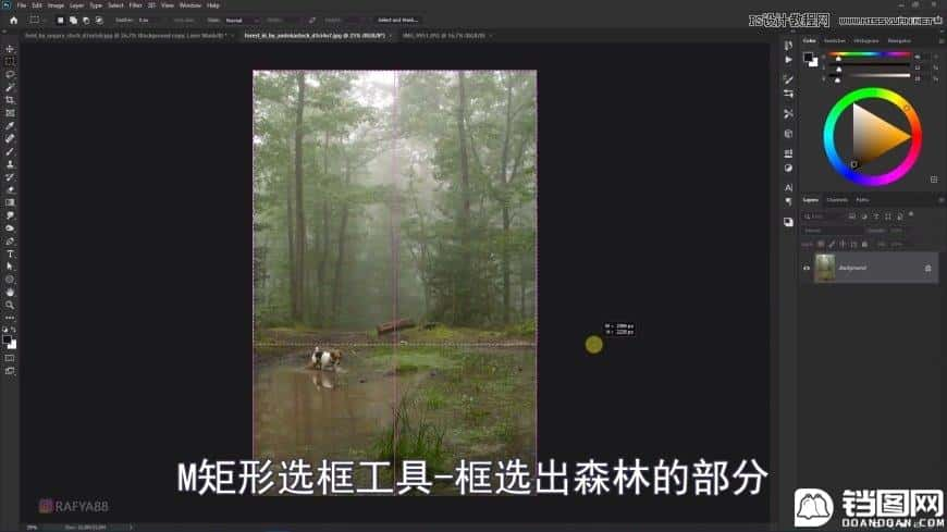 Photoshop创意合成森林中的新娘和鸟笼