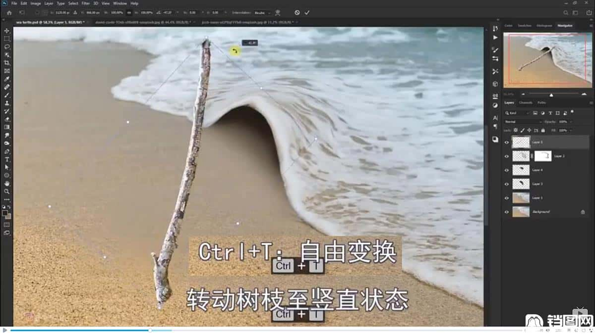 Photoshop合成海边海龟和被掀起的海浪场景