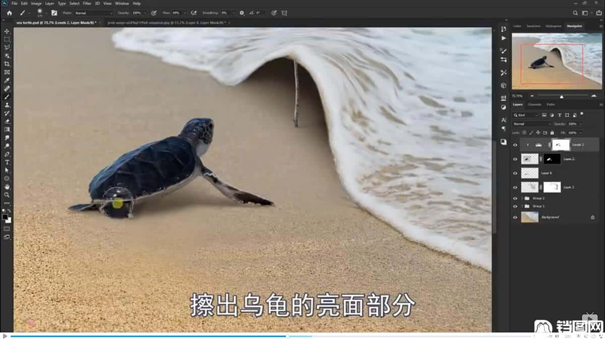 Photoshop合成海边海龟和被掀起的海浪场景