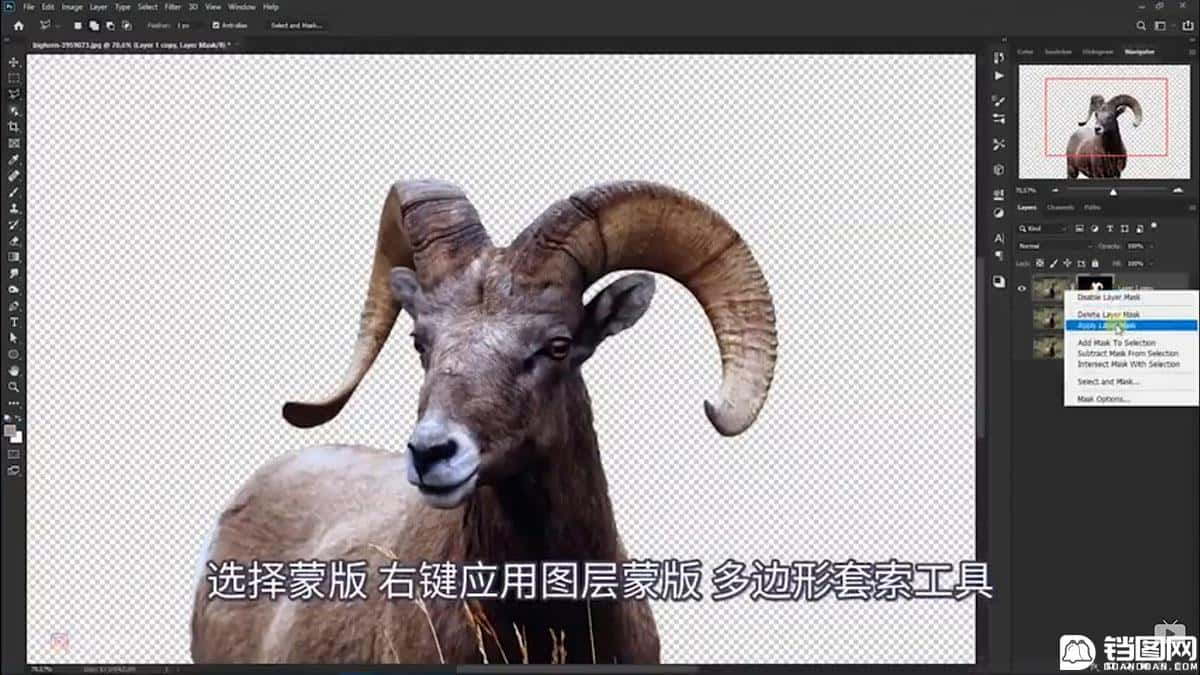 Photoshop合成魔幻主题的发光山羊