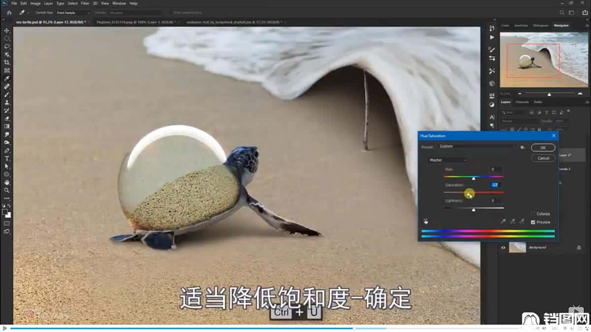 Photoshop合成海边海龟和被掀起的海浪场景