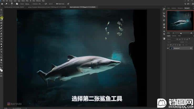 Photoshop合成创意的乌龟背着城堡效果图