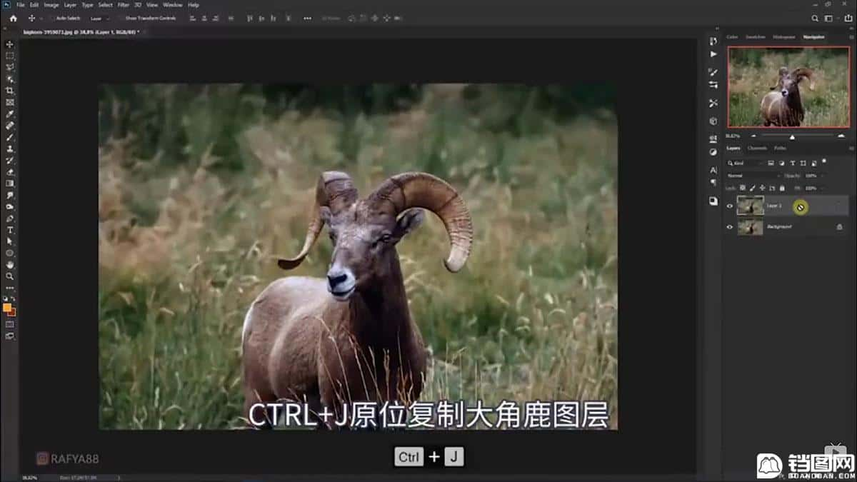 Photoshop合成魔幻主题的发光山羊