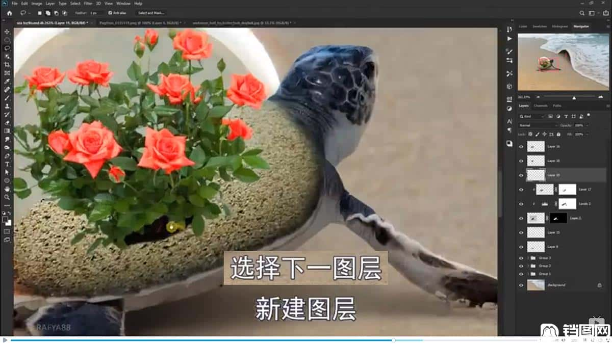 Photoshop合成海边海龟和被掀起的海浪场景