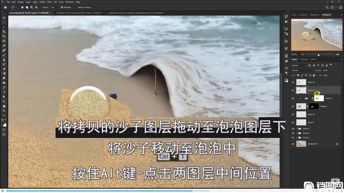 Photoshop合成海边海龟和被掀起的海浪场景