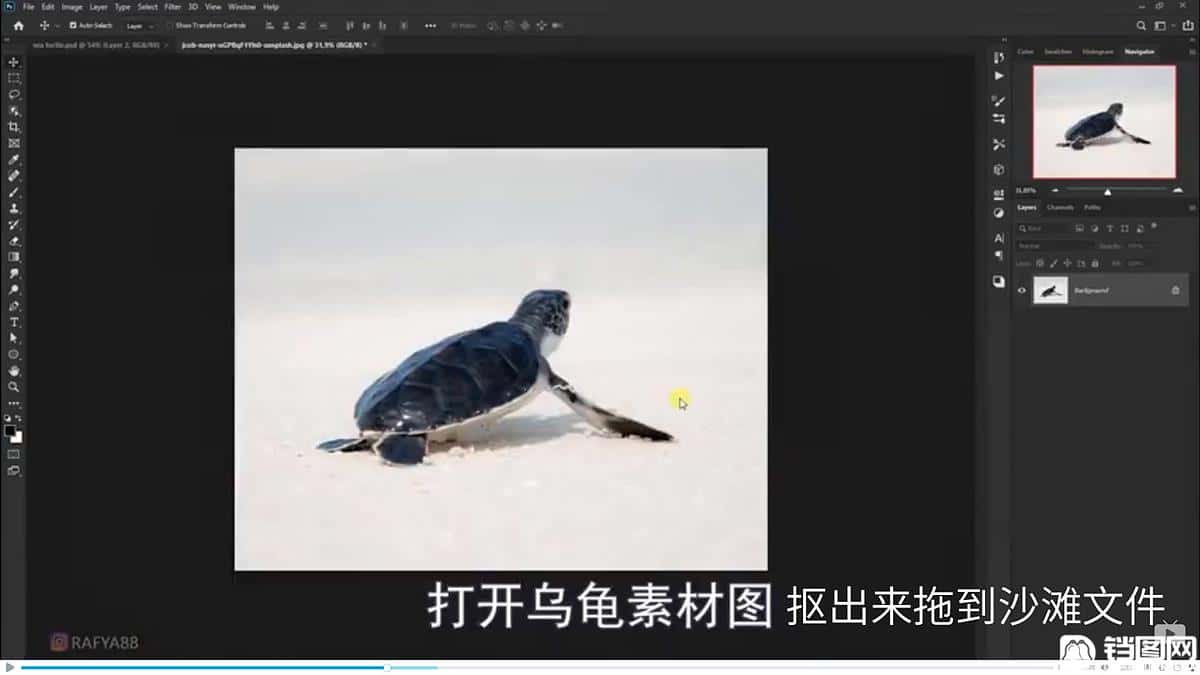 Photoshop合成海边海龟和被掀起的海浪场景