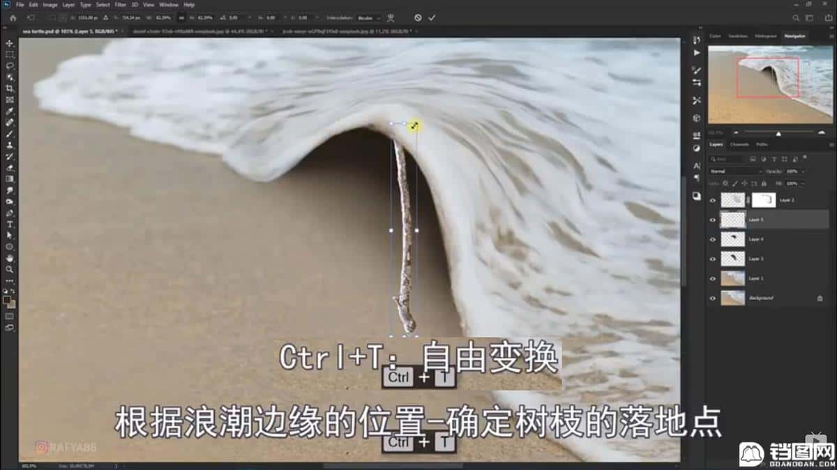 Photoshop合成海边海龟和被掀起的海浪场景