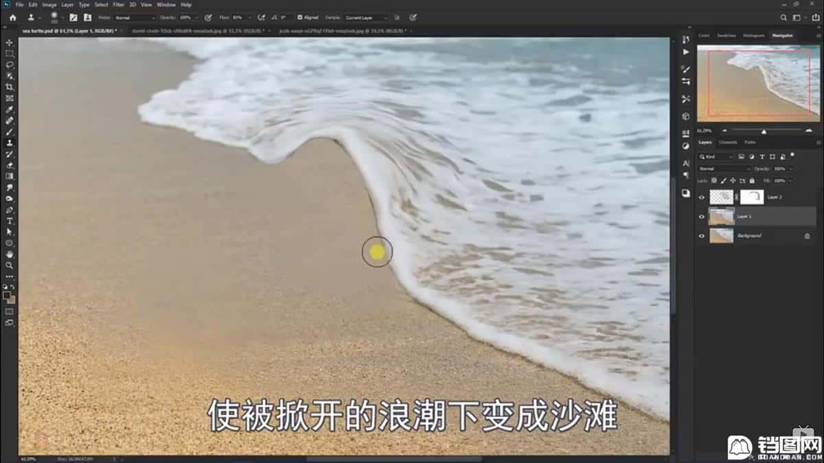 Photoshop合成海边海龟和被掀起的海浪场景