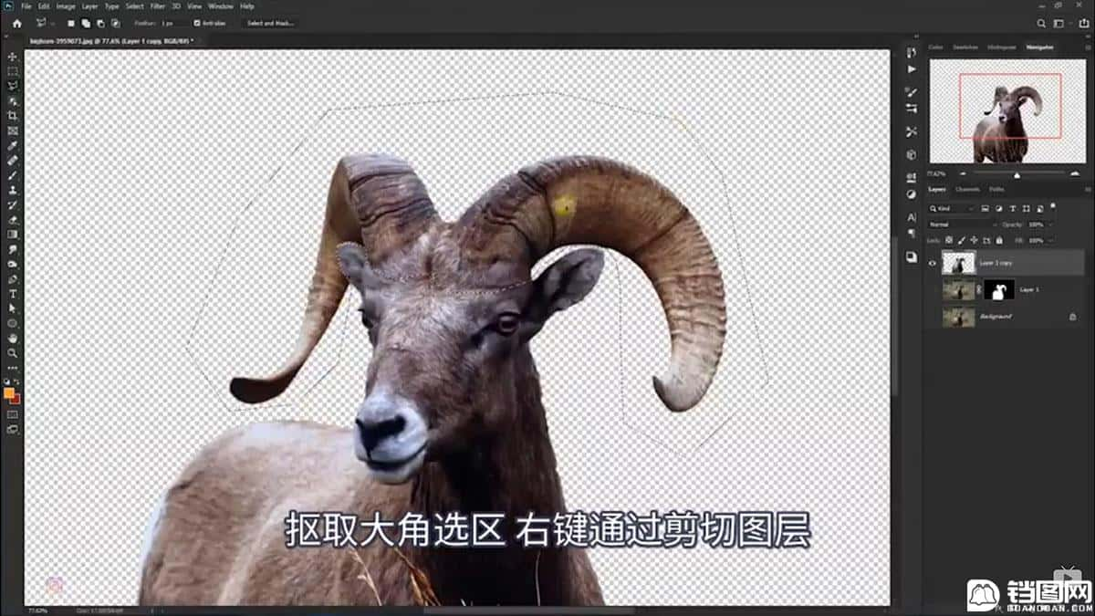 Photoshop合成魔幻主题的发光山羊