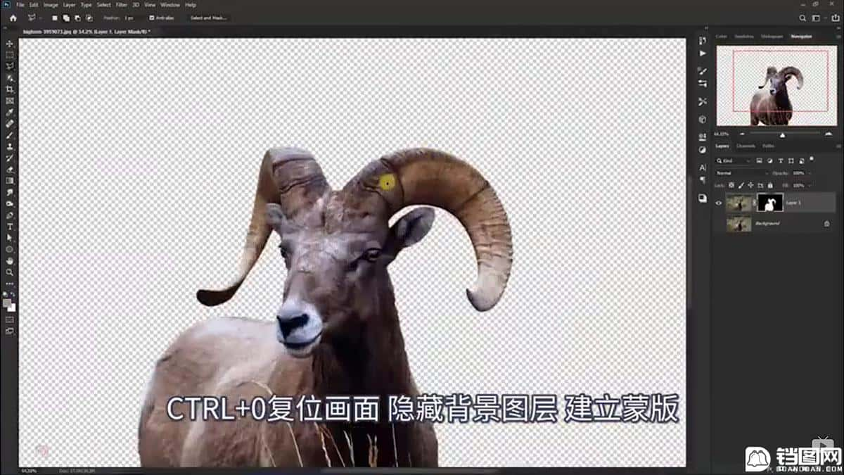 Photoshop合成魔幻主题的发光山羊