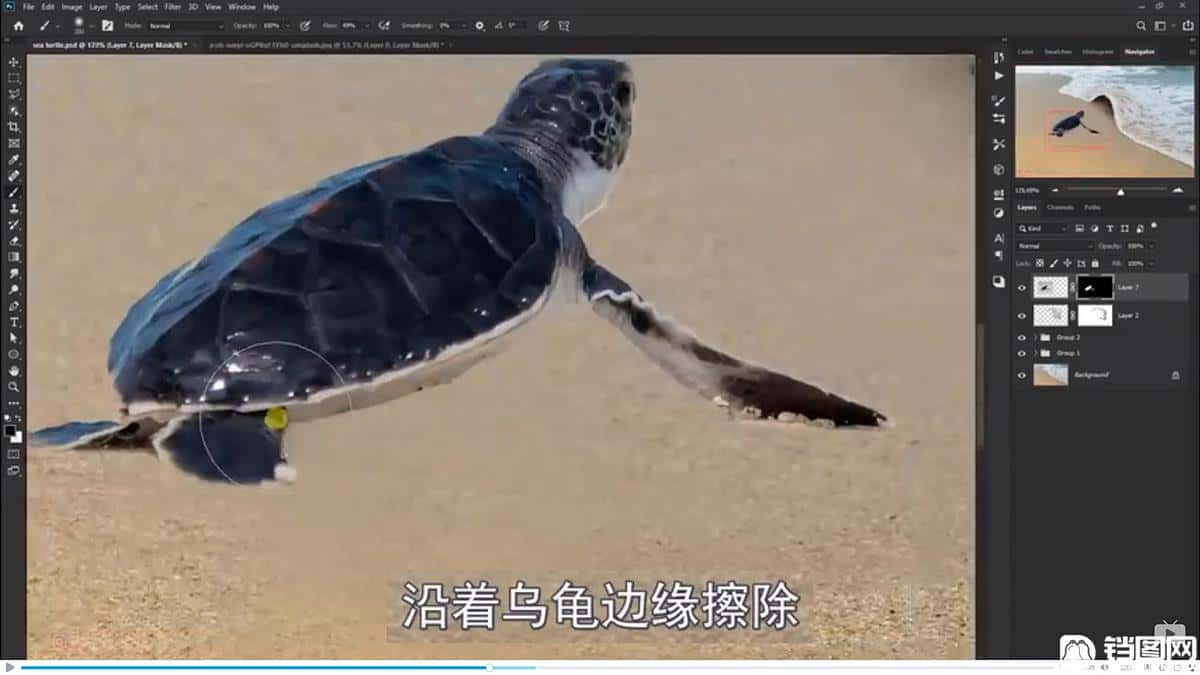 Photoshop合成海边海龟和被掀起的海浪场景