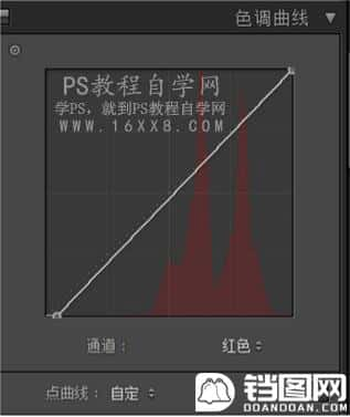 LR调出小清新风格的西红柿照片