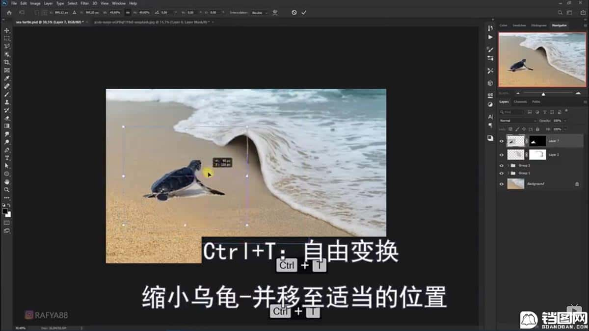 Photoshop合成海边海龟和被掀起的海浪场景