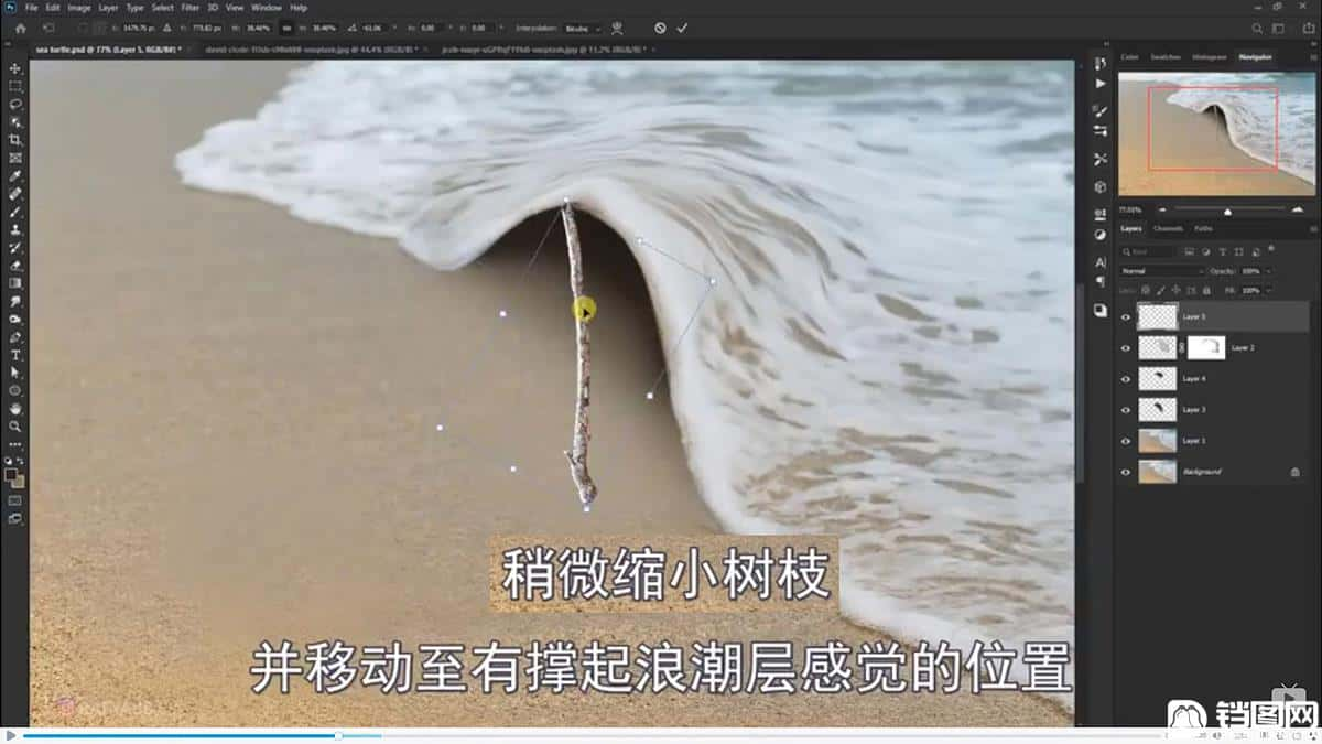 Photoshop合成海边海龟和被掀起的海浪场景